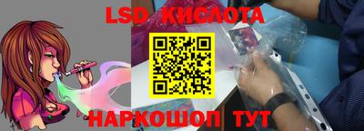 крисы Славгород