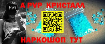 крисы Славгород