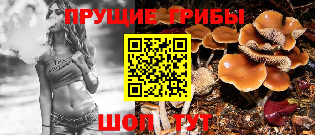 Псилоцибиновые грибы мицелий Павловский Посад